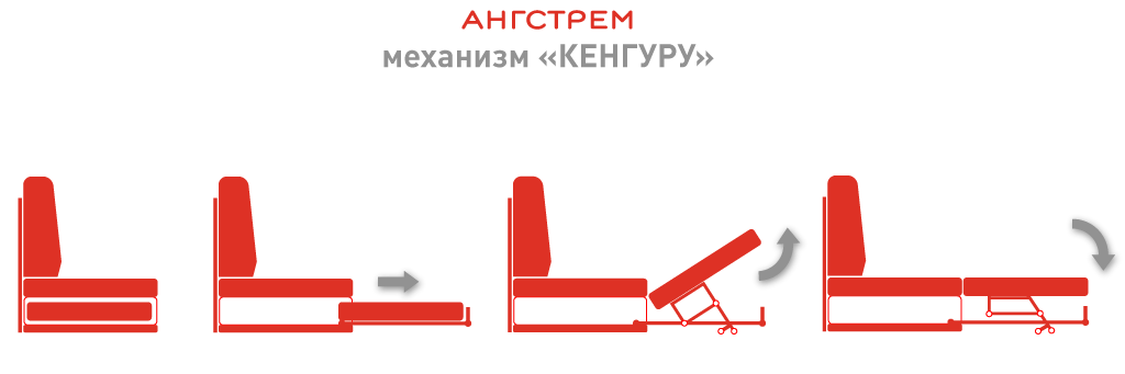 кенгуру (1).png